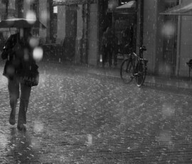 Potsdam in the rain